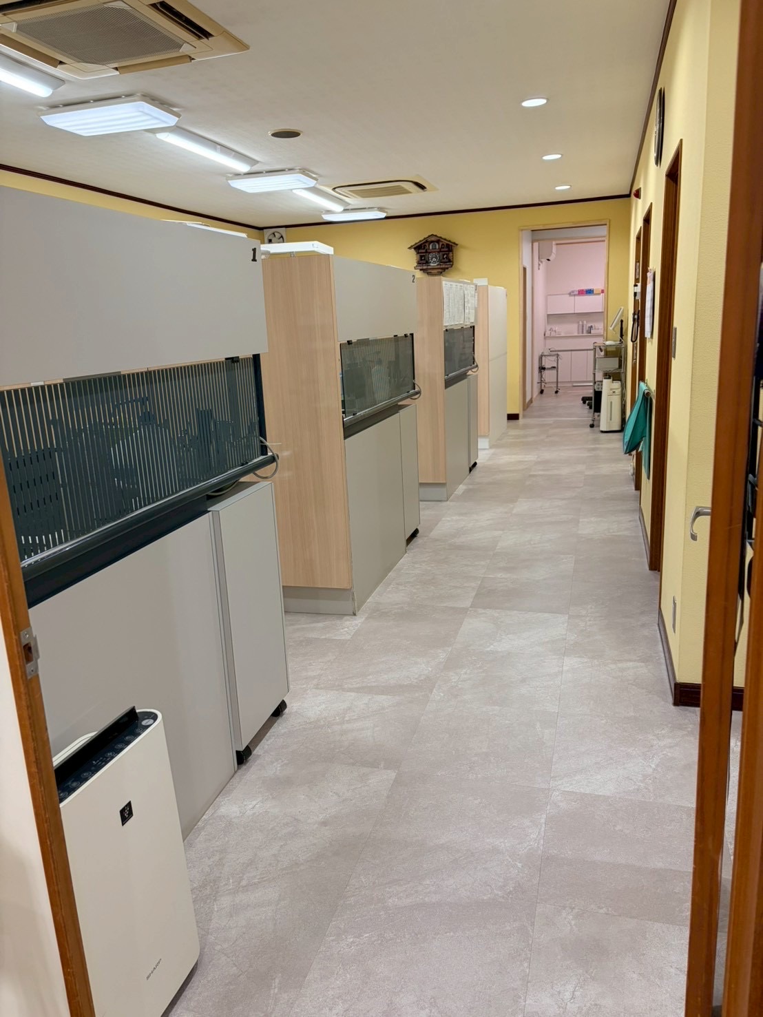 診療室へ続く廊下